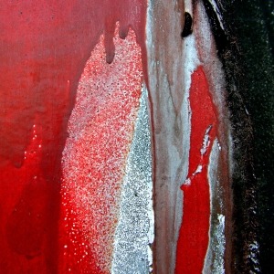 Anne-Reitsma-Fotografie